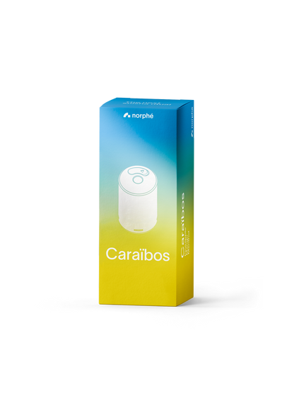 Norphé Caraïbos flavor pod box